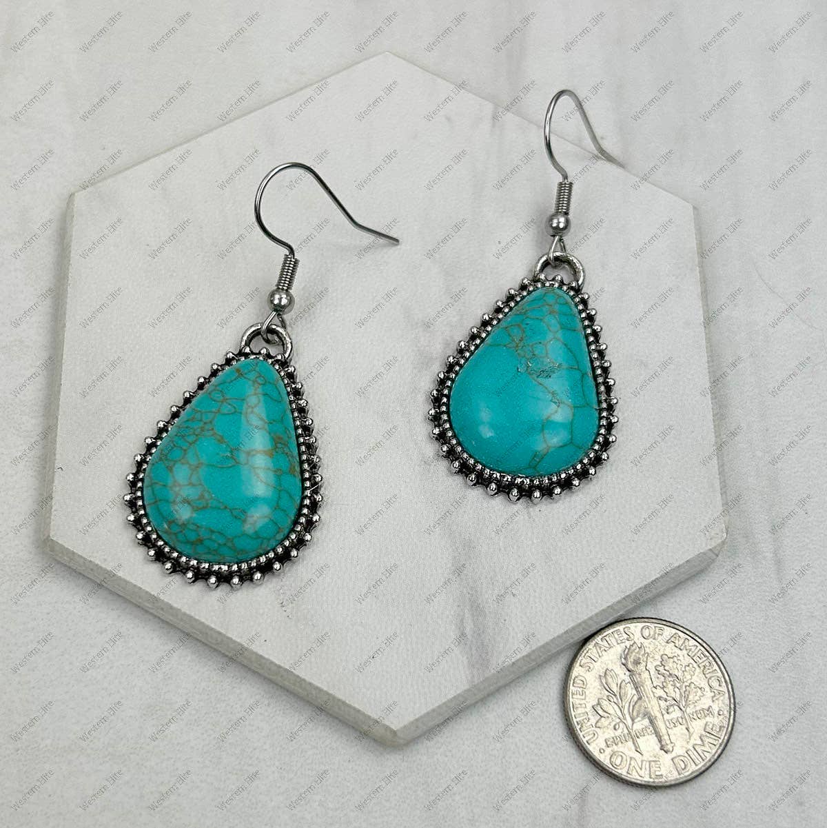 Silver metal with blue turquoise stone Earrings